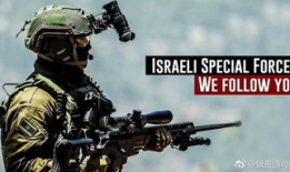 反恐视频,揭秘现代反恐视频中的实战智慧